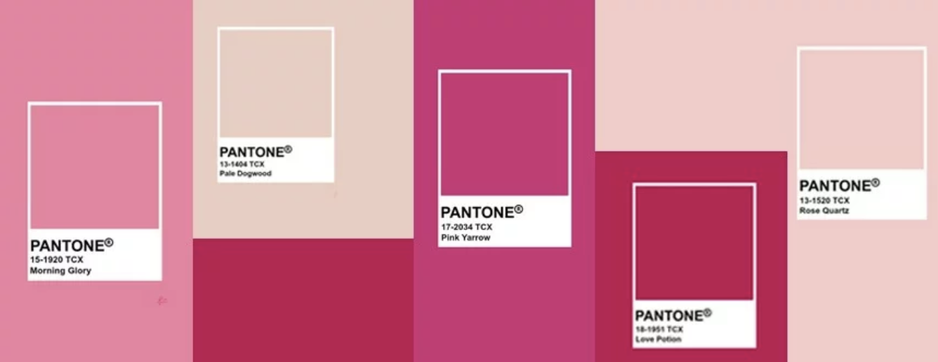 Shades of Pink: How to Find Your Perfect Hue